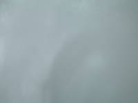 Nikita+Lenore Wedding Toronto - 205